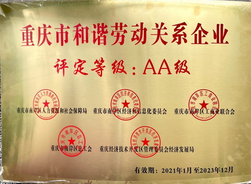 集團(tuán)榮譽(yù)